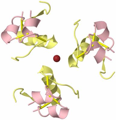 Image Biological Unit 8