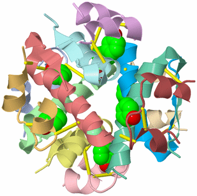 Image Biological Unit 1