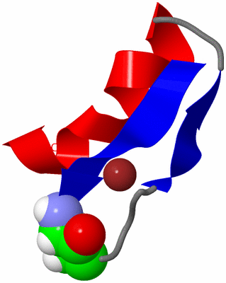 Image NMR Structure - model 1