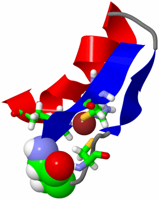 Image NMR Structure - model 1, sites