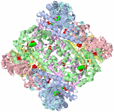 Image Biological Unit 1