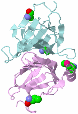 Image Biological Unit 3