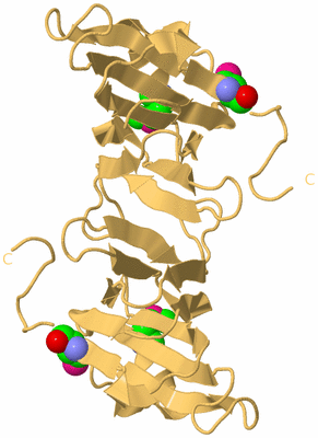 Image Biological Unit 5