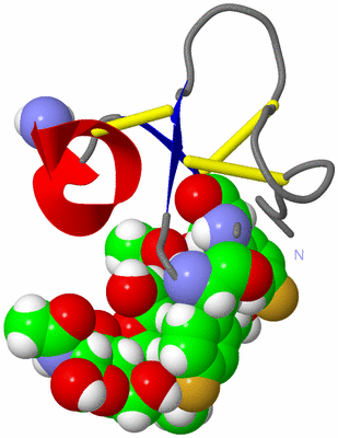 Image NMR Structure - model 1