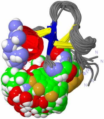 Image NMR Structure - all models