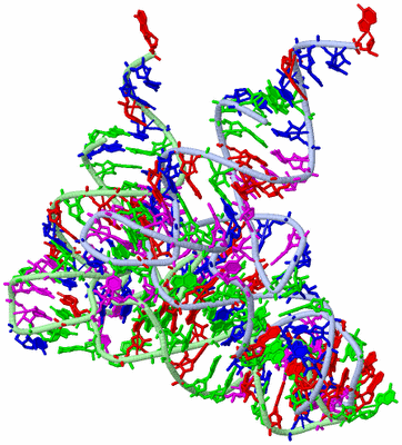 Image Asym./Biol. Unit