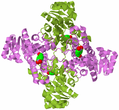 Image Biological Unit 1