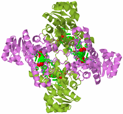 Image Biol. Unit 1 - sites