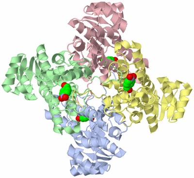 Image Biological Unit 2