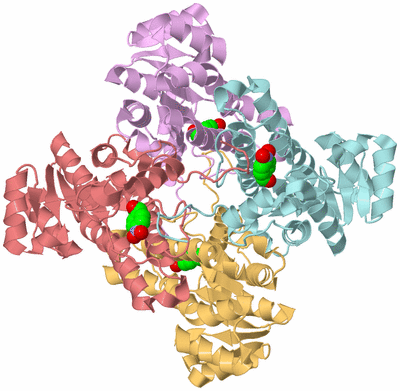 Image Biological Unit 3