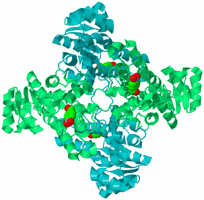 Image Biological Unit 4