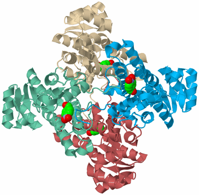 Image Biological Unit 5