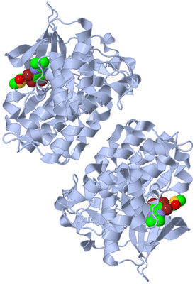 Image Biological Unit 1