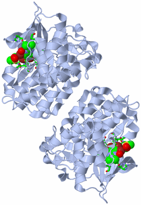 Image Biol. Unit 1 - sites