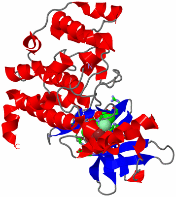 Image Asym. Unit - sites