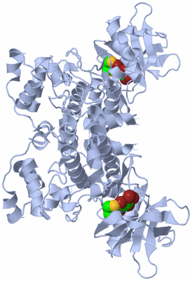 Image Biological Unit 1