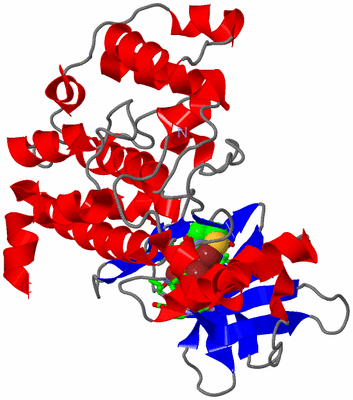 Image Asym. Unit - sites