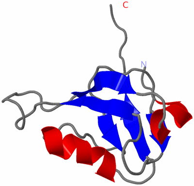 Image NMR Structure - model 1