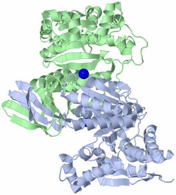 Image Asym./Biol. Unit