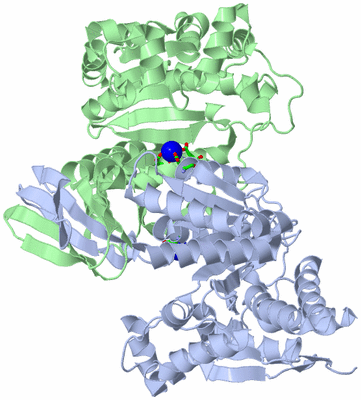 Image Asym./Biol. Unit - sites