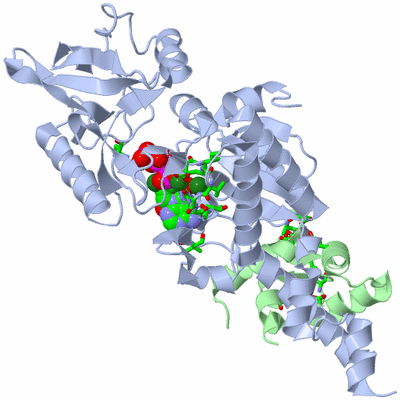 Image Asym./Biol. Unit - sites