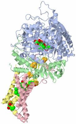 Image Asym./Biol. Unit