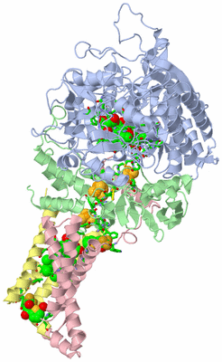 Image Asym./Biol. Unit - sites