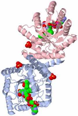 Image Biological Unit 1