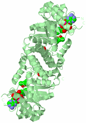 Image Biological Unit 3