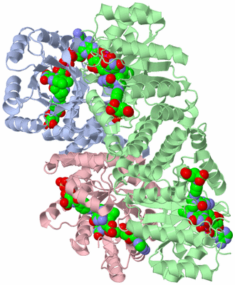 Image Biological Unit 1