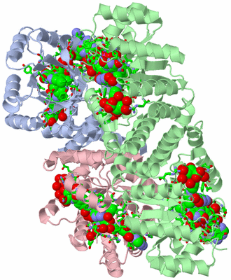 Image Biol. Unit 1 - sites