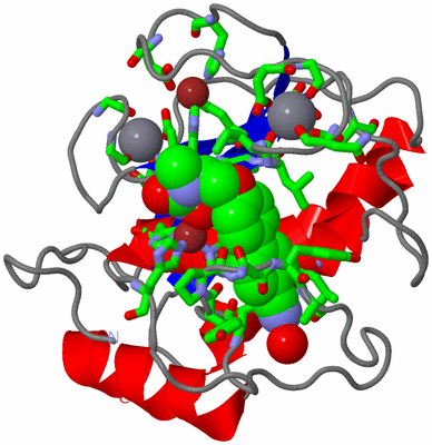 Image Asym./Biol. Unit - sites