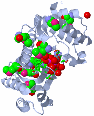 Image Biol. Unit 1 - sites