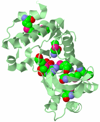 Image Biological Unit 2