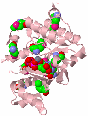 Image Biological Unit 3