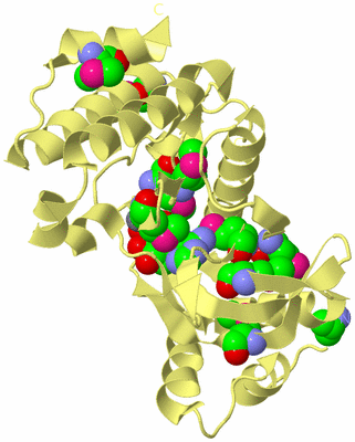 Image Biological Unit 4