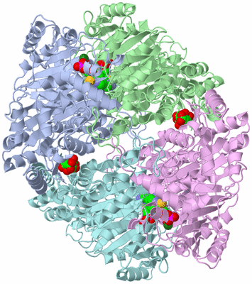 Image Asym./Biol. Unit