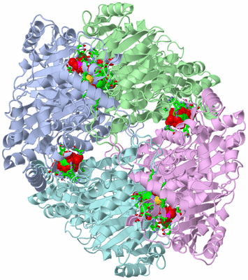 Image Asym./Biol. Unit - sites