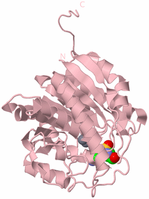 Image Biological Unit 3