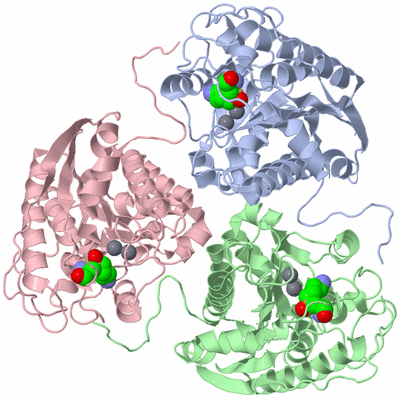 Image Biological Unit 4