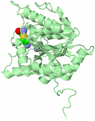 Image Biological Unit 2