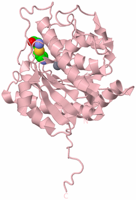 Image Biological Unit 3