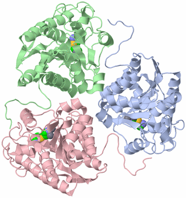 Image Biological Unit 4