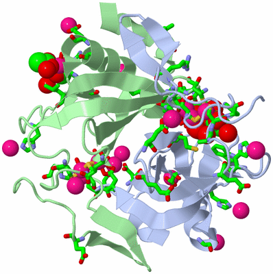 Image Asym./Biol. Unit - sites
