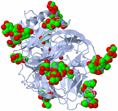 Image Biological Unit 1