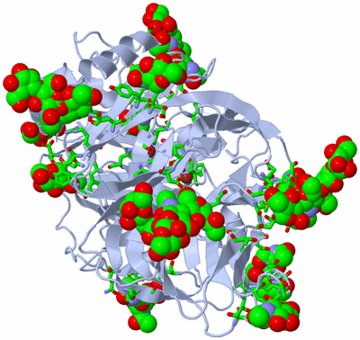 Image Biol. Unit 1 - sites