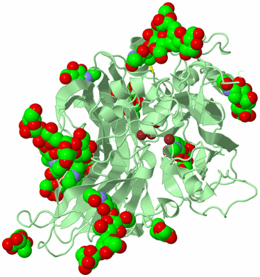 Image Biological Unit 2