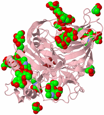 Image Biological Unit 3