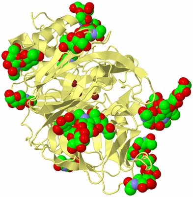 Image Biological Unit 4