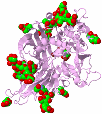 Image Biological Unit 5